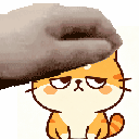 petpetgenerator 橘猫莫挨老子表情包